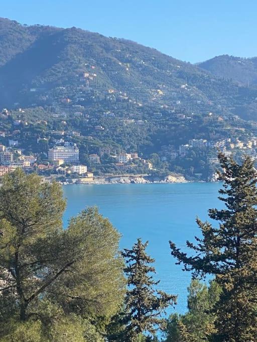 La Casa Di Andrea Grande Appartamento A Due Passi Dalle Spiagge ราปาลโล ภายนอก รูปภาพ